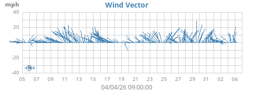 Wind Vector